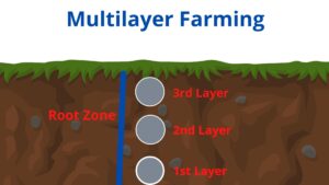 Multilayer Farming