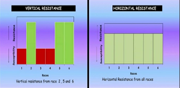Read more about the article Horizontal And Vertical Resistance In Plants