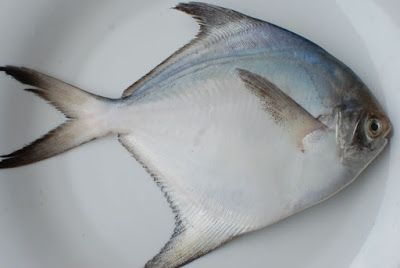 Pomfret Fish Benefits And Nutritional Values
