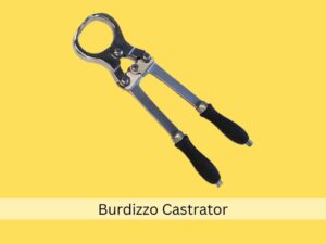 Burdizzo Castrator 