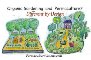 Permaculture, Sustainable Agriculture