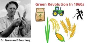 Advantages and disadvantages of green revolution
