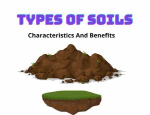 Types Of Soils