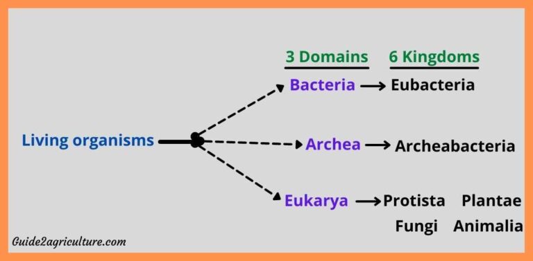 [Carl Woese] 3 Domains And 6 Kingdoms Of Life