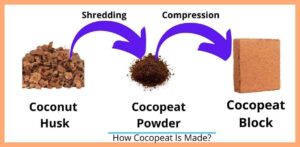 How Cocopeat Is Made