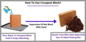 Use Of Cocopeat
