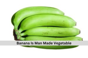 Banana Is Man Made Vegetable