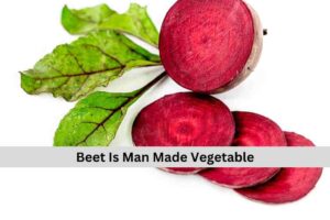 Beet Is Man Made Vegetables 