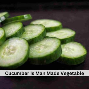 Cucumber, Man Made Vegetable 