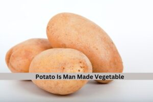 Potato 