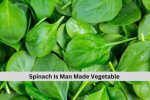 Spinach 