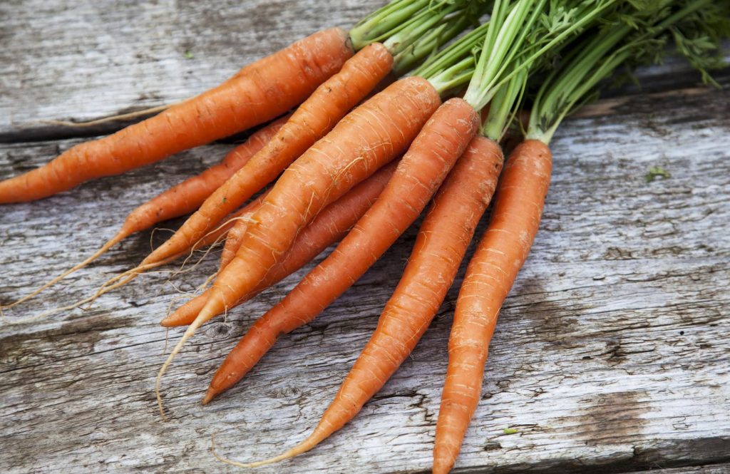 Carrots - 10 High-Yield Crops For Snow And Cold Climate