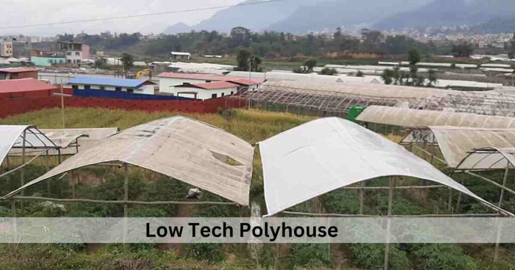 low tech polyhouse