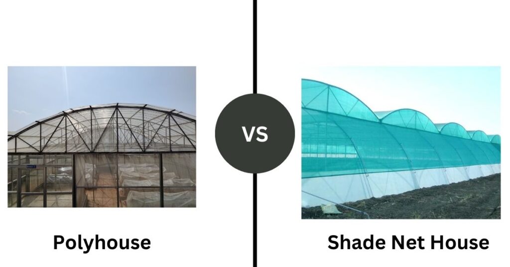 polyhouse vs shade net house