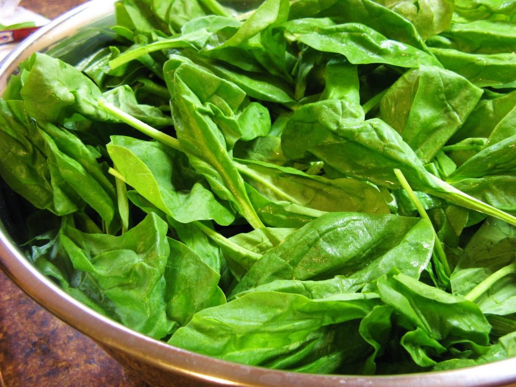 Spinach - 10 High-Yield Crops For Snow And Cold Climate