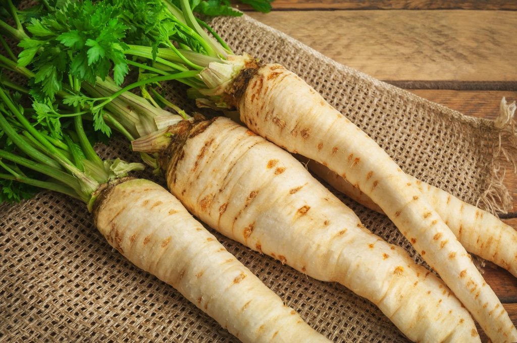 Parsnips - 10 High-Yield Crops For Snow And Cold Climate
